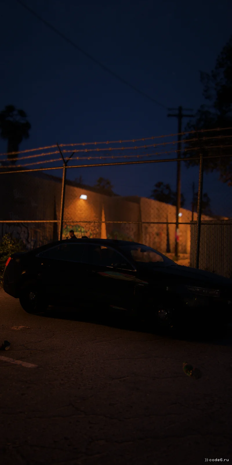 LSPD in South LS