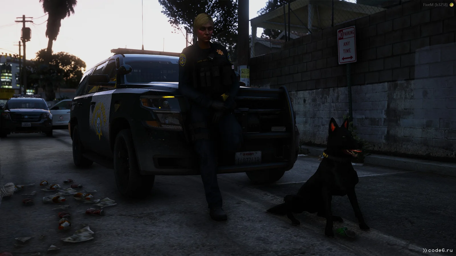 K-9 SAHP