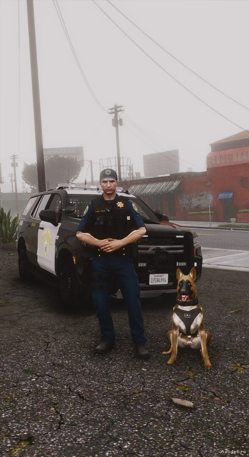 K9