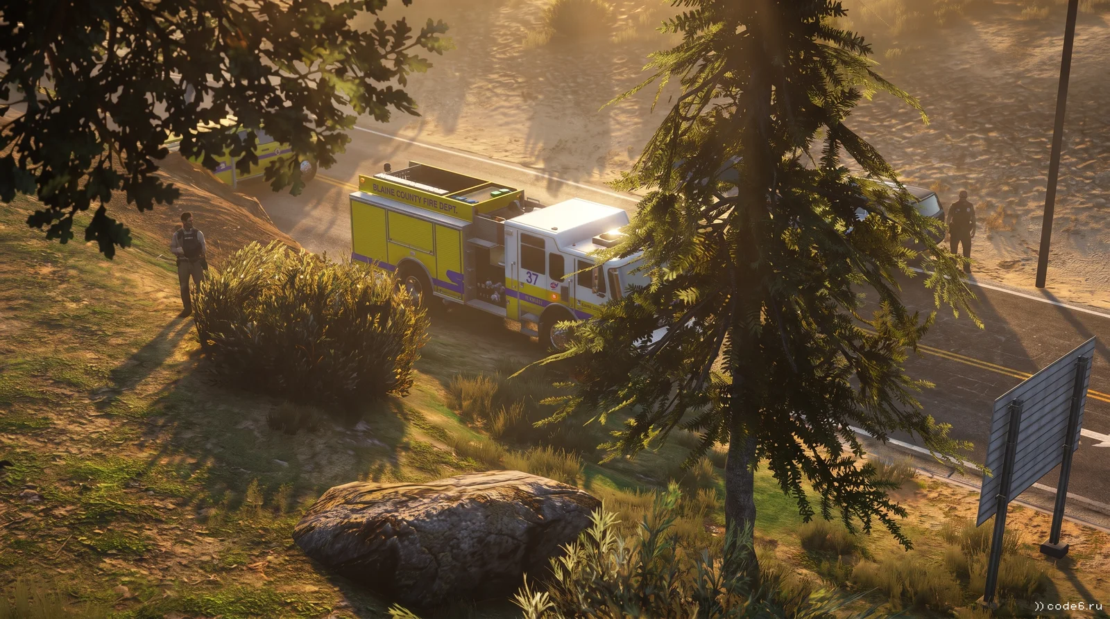 Among the trees
