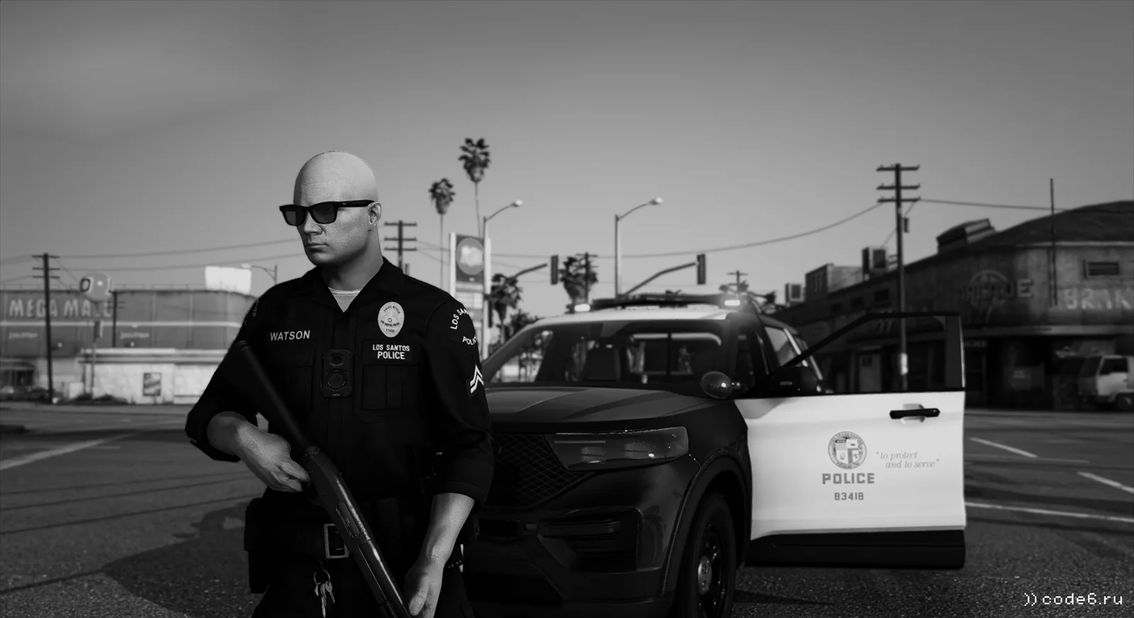 Officer M. Watson